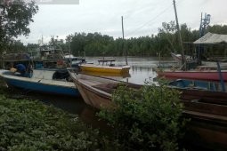 Kementerian KP bangun tempat pelelangan ikan Penajam