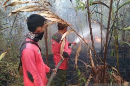 Di Batanghari sejak awal Agustus terdapat 71 titik api