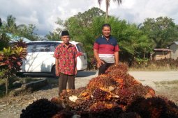 Masyarakat sejahtera dan kawasan berkembang pesat berkat  sawit