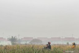 Masyarakat alami iritasi mata akibat asap Riau terus bertambah