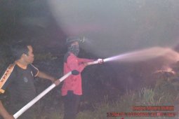 293,54 hektare lahan di Batanghari terbakar
