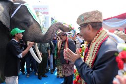 Parade Budaya "Lampung Culture and Tapis Carnival" Meriah