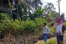 Dari bambu  warga Halong  raup keuntungan jutaan rupiah