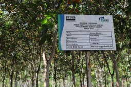 Tabalong canceled to receive SUPRA-DIN assistance
