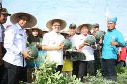 Pemkab Banyuwangi dorong petani garap produk turunan semangka