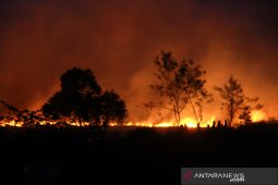 Kebakaran Lahan Gambut Di Banjarbaru