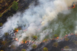 Tercatat 393 Ha lebih lahan di Tapin terbakar akibat karhutla