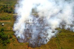 Kebakaran lahan dekati komplek perkantoran Pemprov Kalsel