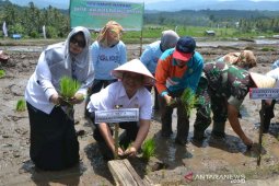 Pertanian berkelanjutan harus dapat dukungan semua pihak