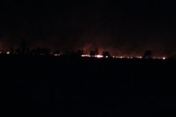 Lahan tidur ratusan hektare terbakar di Tanah Laut