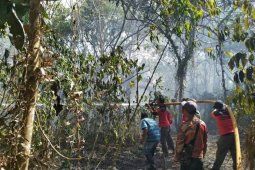 DLH Paser padamkan kebakaran lahan di sekitar Tahura Lati Petangis