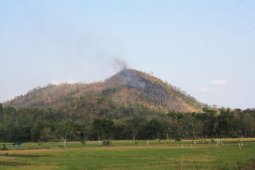 1,5 hektare hutan jati di Trenggalek terbakar