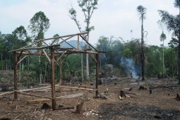 Petani Badui mulai garap ladang huma, Oktober penanaman