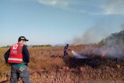 PMI Banjar terjunkan personel bantu padamkan karhutla di Kalsel