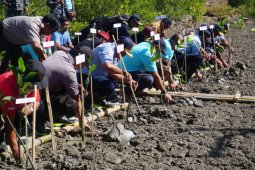 Pelindo III tanam 50.000 bibit mangrove di Pelabuhan Benoa