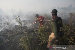 Pemadaman Karhutla Terkendala Sumber Air