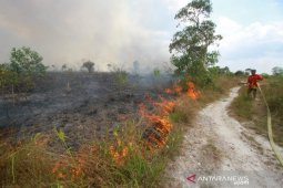 Kabut asap selimuti Kota Banjarbaru