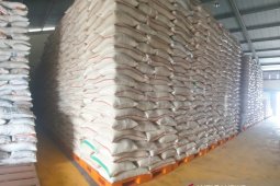 Stok beras di wilayah Sumsel dan Bangka Belitung cukup 10 bulan