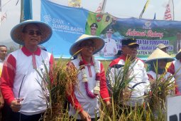 Batan: Nuklir bermanfaat bagi produktivitas pertanian