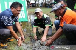200 ribu hektare hutan di Babel rusak
