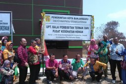 DKP3 operasikan Balai Pembibitan Ternak