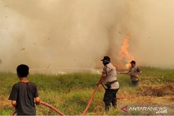 Empat pelaku pembakaran lahan jadi tersangka
