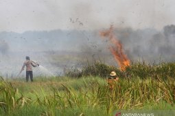 Upaya Pemadaman Kebakaran Lahan Gambut
