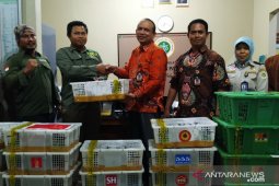 BKP Pangkalpinang serahkan 1.020 burung yang dilindungi ke BKSDA