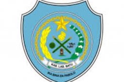 Pemkab Labuhanbatu salurkan bantuan pangan  untuk 5 balita kurang gizi