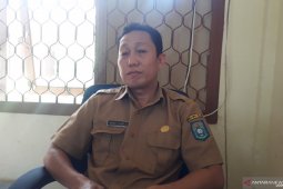 Delapan hektare hutan lindung di Bangka Tengah terbakar