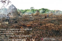 Hujan padamkan kebakaran hutan dan lahan di  Aceh Barat