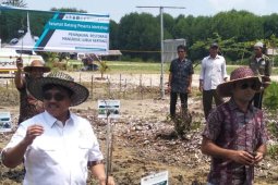 Dinas Pariwisata Sumut tinjau ekowisata mangrove Lubuk Kertang Langkat