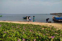 Mahasiswa Untan promosikan wisata Temajuk lewat media sosial