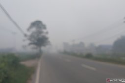Kabut asap kebakaran hutan di Pontianak makin pekat