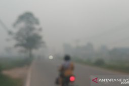 Udara di Pontianak terasa "pahit" dampak asap Karhutla