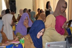 BKD Madina gelar workshop formasi kebutuhan CPNS daerah