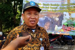 Pemprov Kepulauan  Babel atasi kekeringan 570 hektare sawah
