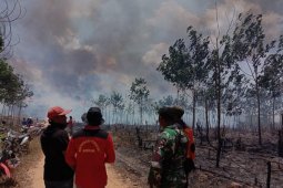 25 Ha Lahan Perkebunan PT Inhutani II Terbakar
