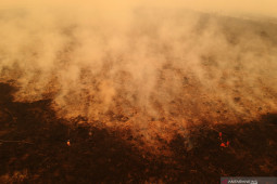 Sekadau liburkan sekolah karena kabut asap