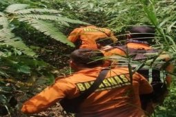 Basarnas Jambi terus cari orang hilang di TNB