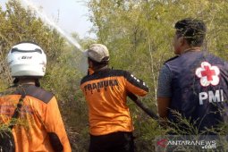 17 hektare hutan di Kawasan  Lintas Timur Bangka terbakar