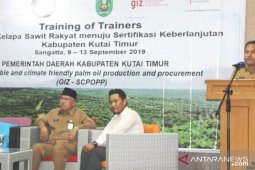 Distan Kutim Dorong Petani Sawit Tingkatkan Kualitas