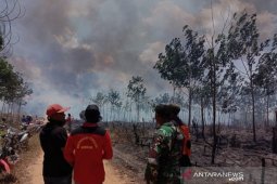 Puluhan hektare lahan milik inhutani terbakar
