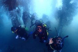 Amman Mineral dan KUPP Benete lakukan Gerakan Bersih Laut dan Pantai