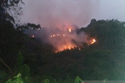 Brigdalkar Batanghari:  250 hektare kawasan Tahura Sultan Thaha terbakar