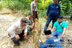 Diteror harimau, BKSDA datangkan pawang ke Aceh Selatan