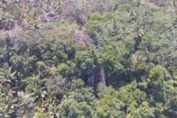 Wagub Jabar sebut Curugsawer Pangandaran bisa jadi destinasi wisata