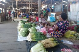 Pemkab Fakfak imbau mahasiswa perantau tuntaskan studi