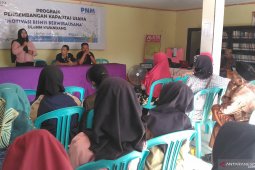 PNM mendorong nasabah ULaMM jadi pelaku usaha profesional