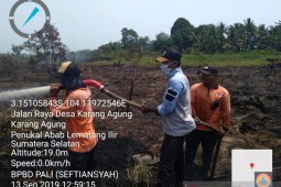 Satgas karhutla  maksimalkan patroli